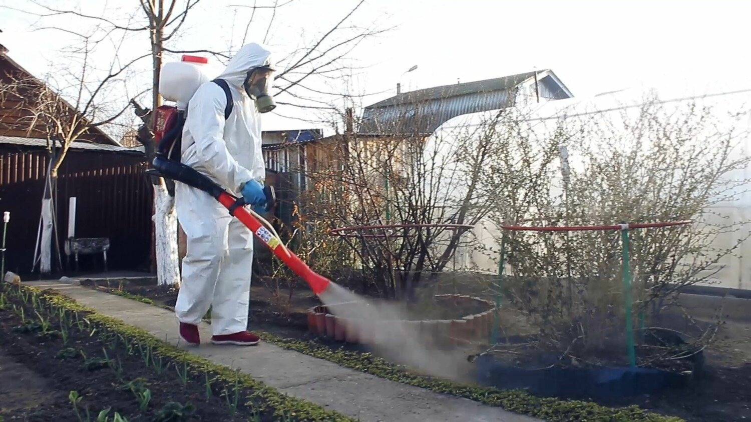 ФОТО Уничтожение муравьёв в Бакшеево