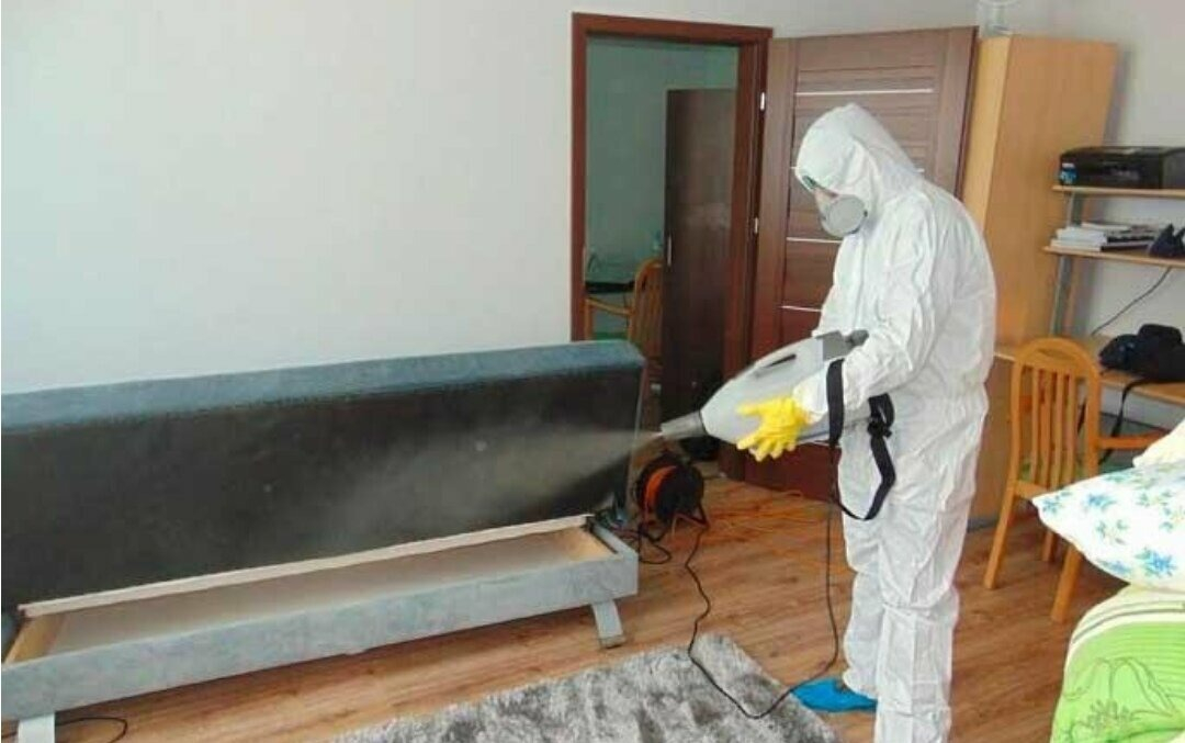 ФОТО Уничтожение блох в Бакшеево