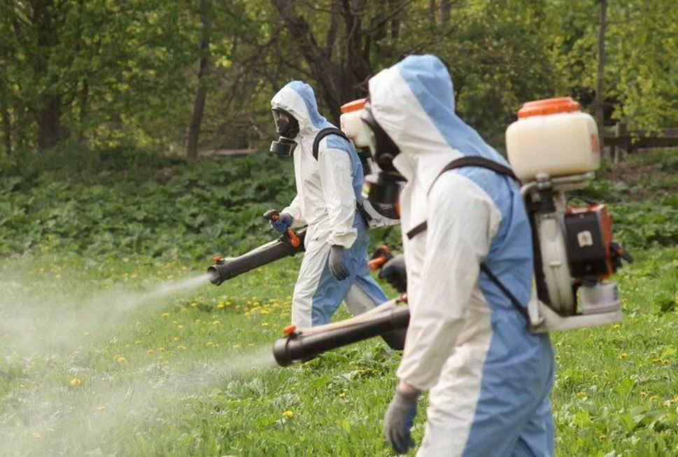 ФОТО Что такое дезинсекция в Бакшеево? | подробно