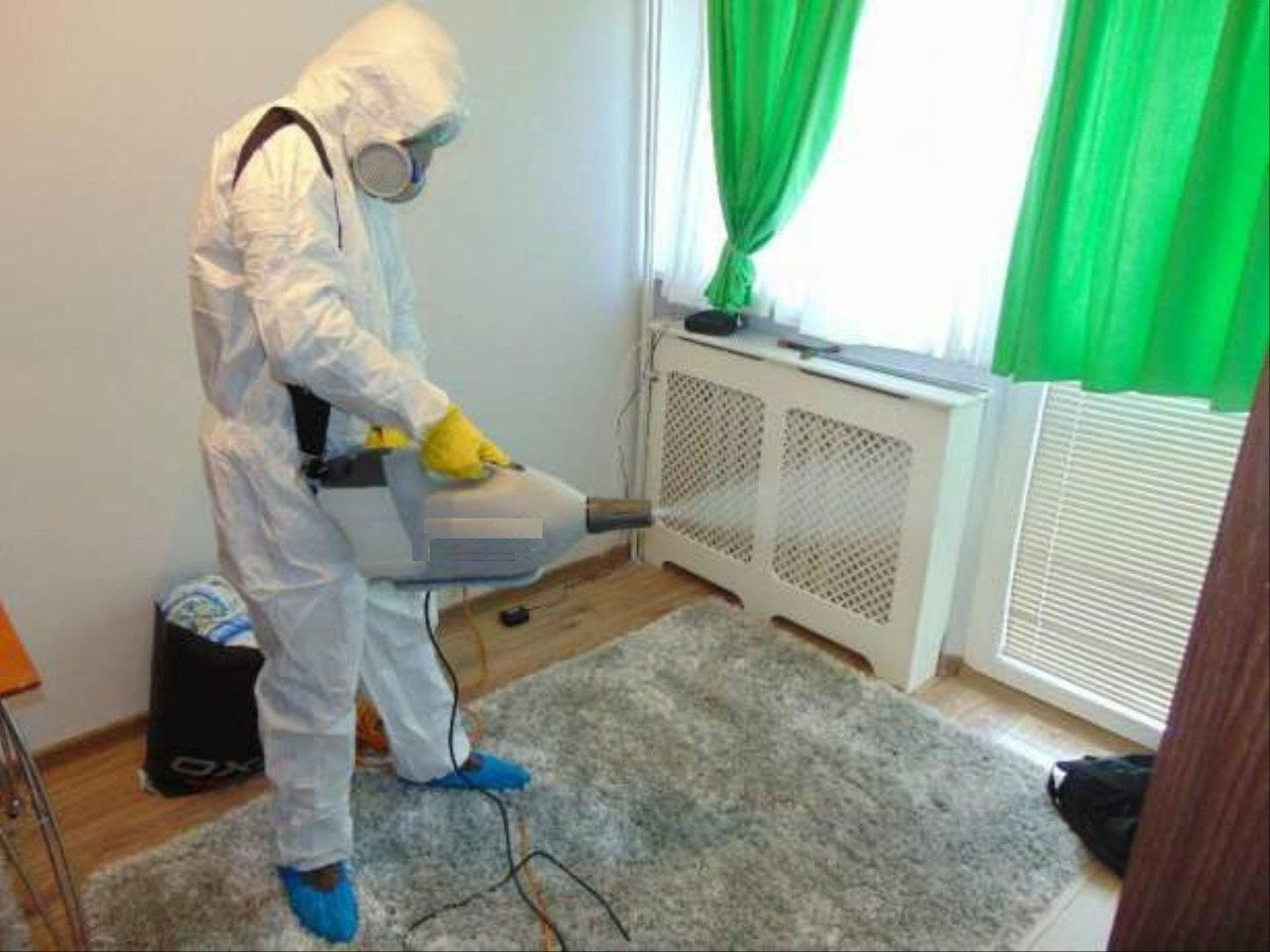ФОТО Сколько времени занимает обработка при дезинсекции в Бакшеево? | подробно