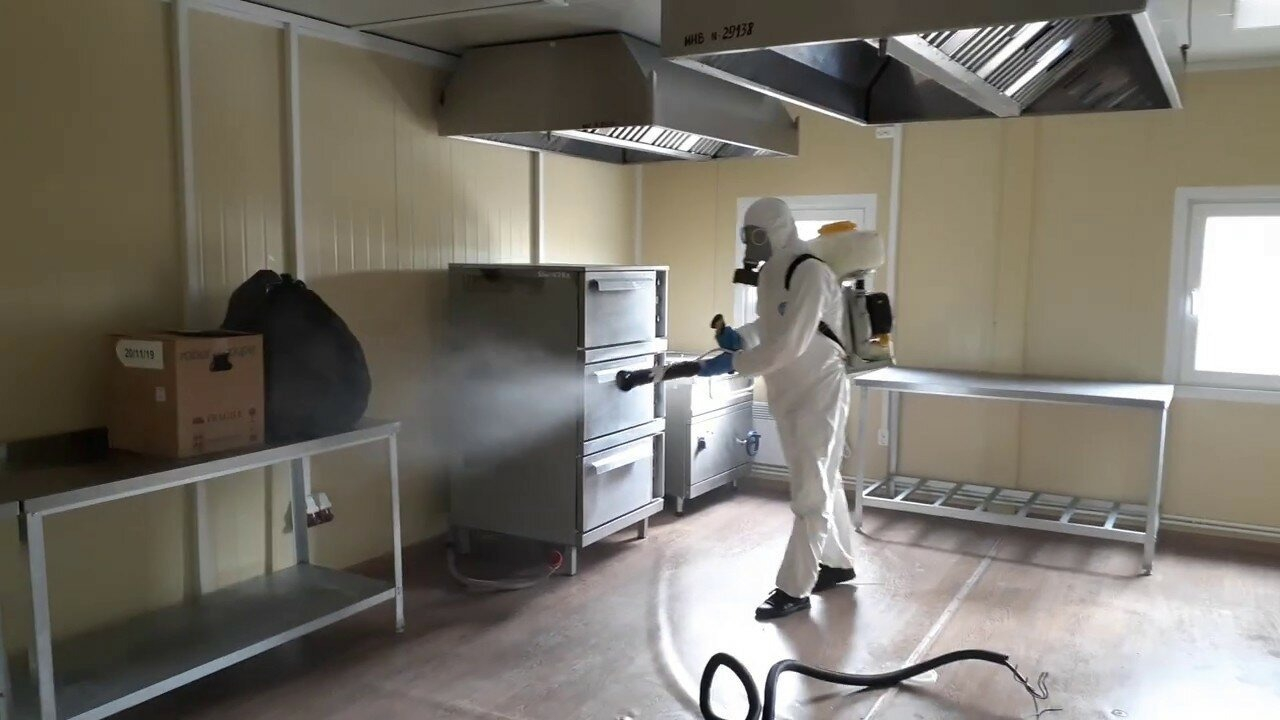 ФОТО Можно ли провести дезинсекцию самостоятельно и какие существуют риски в Бакшеево? | подробно