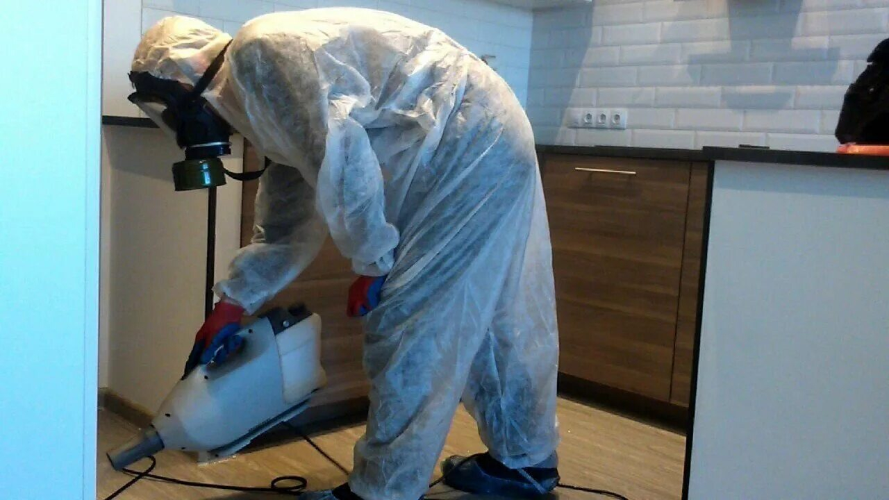 ФОТО Как подготовить домашних животных к обработке от насекомых в Бакшеево? | подробно