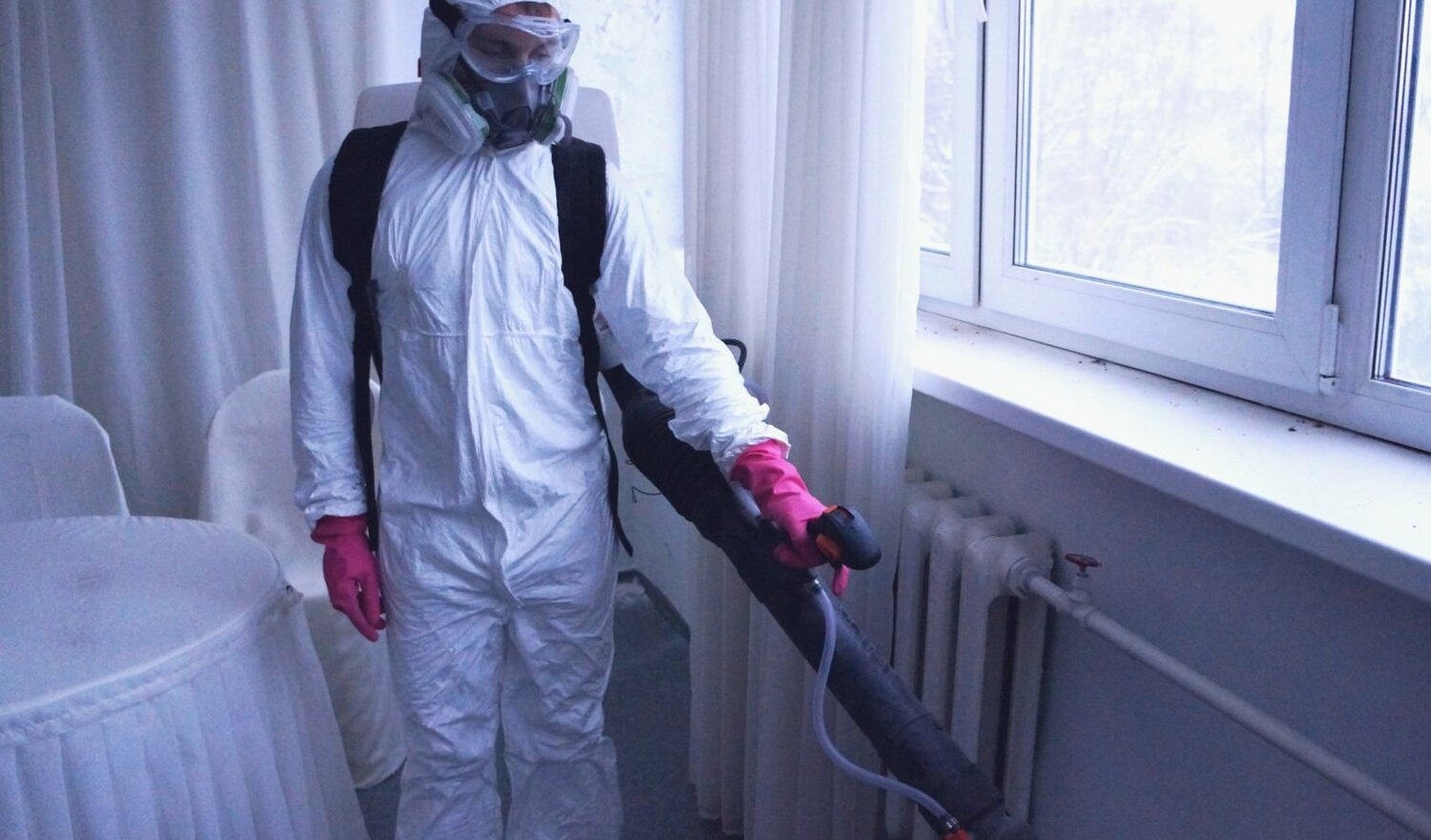 ФОТО Нужно ли выносить растения при дезинсекции в Бакшеево? | подробно