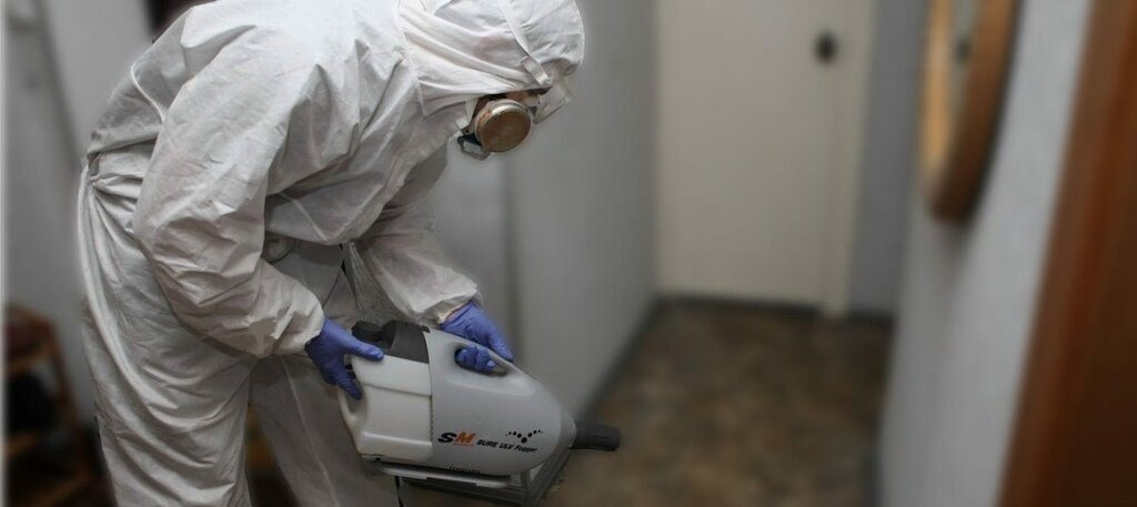 ФОТО Остаются ли следы после обработки квартиры от насекомых в Бакшеево? | подробно