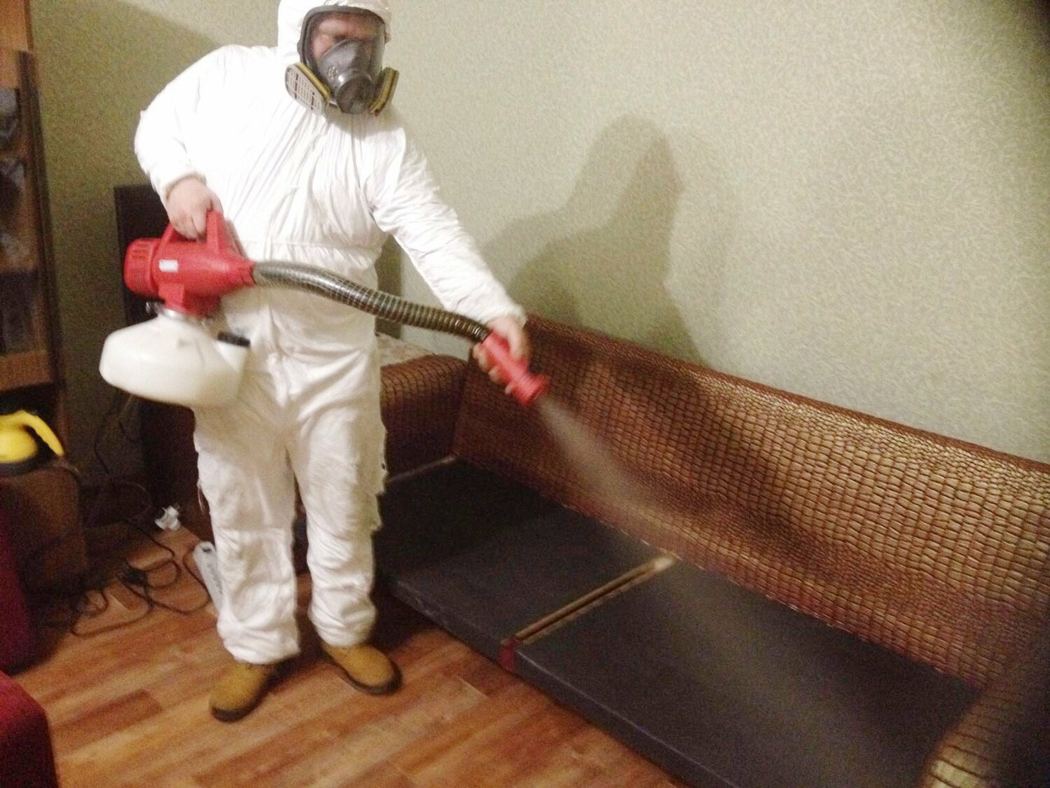 ФОТО Когда можно вернуться в помещение после дезинсекции в Бакшеево? | подробно