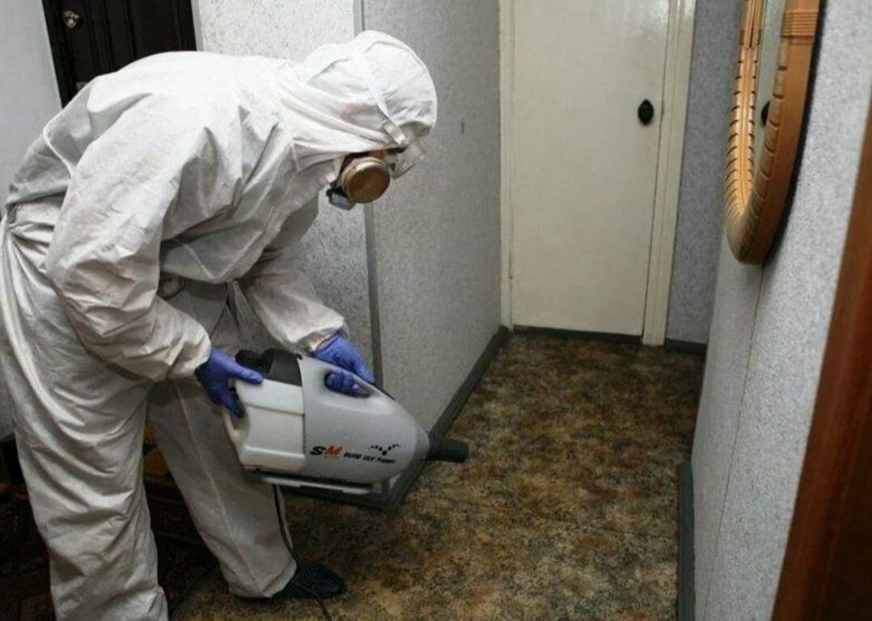 фото: Профессиональная дезинсекция в Бакшеево: <br/>+7-909-173-42-96